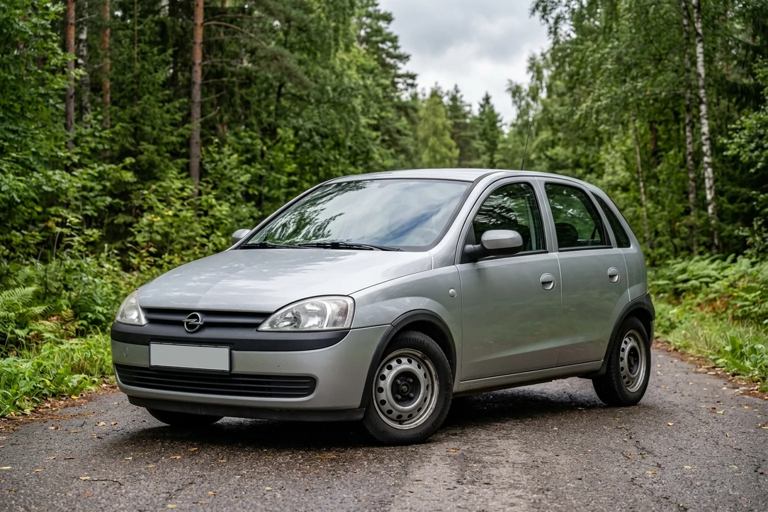 Иллюстрация Opel Corsa C на лесной дороге